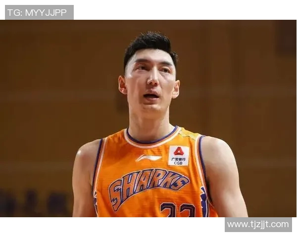 姚明老师身高的秘密揭秘与篮球生涯的关系探讨