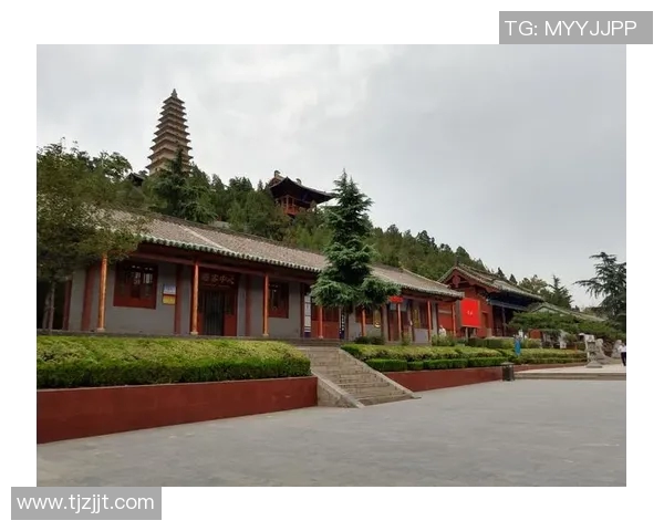 黑猫与姚明的奇妙冒险:一段跨越种族与文化的友谊故事 黑猫与姚明的奇妙冒险:一段跨越种族与文化的友谊故事